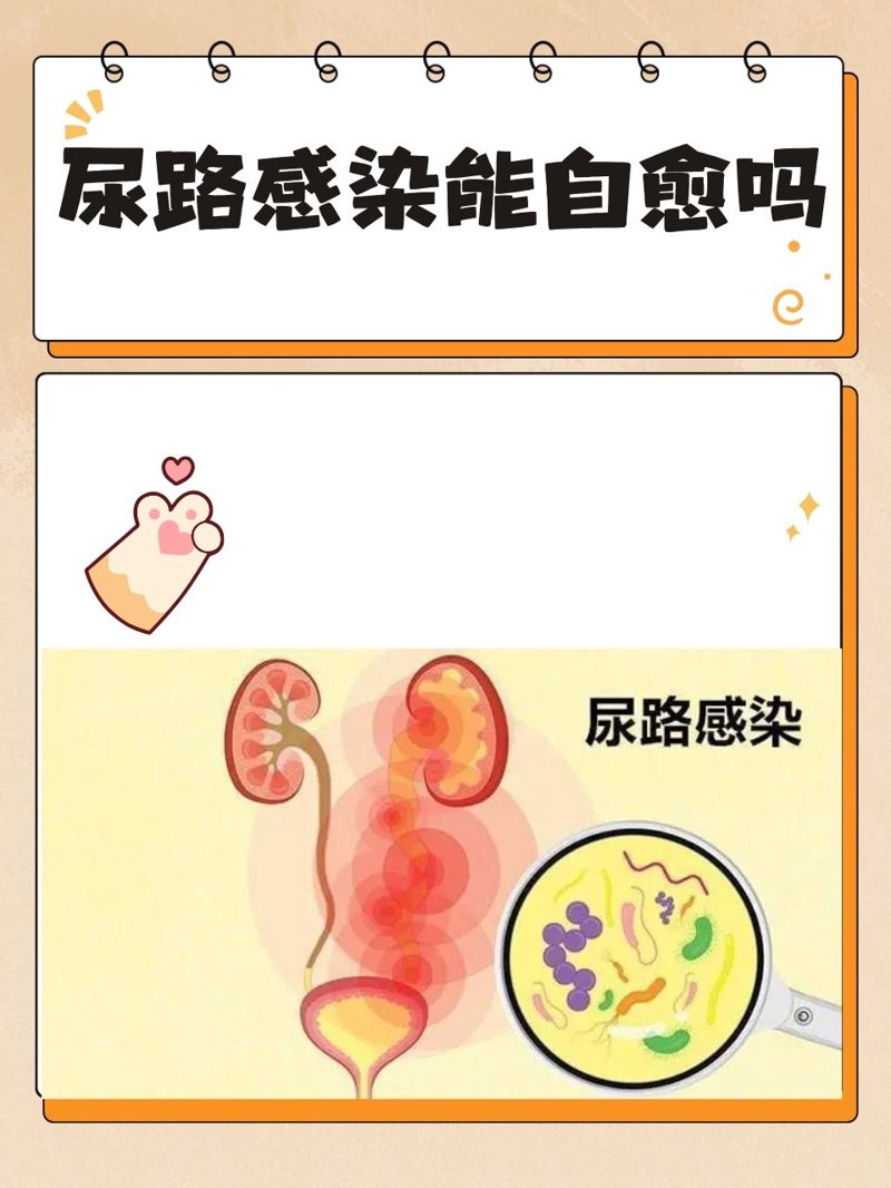 泌尿系统感染